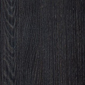 Дуб Кентербери